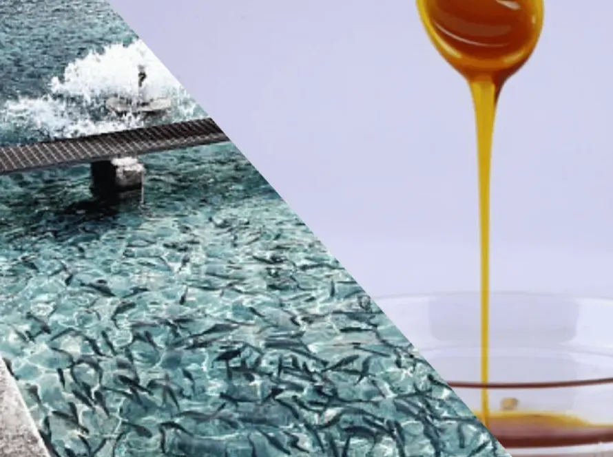 Soya Lecithin- Feed and Poultry Grade Service